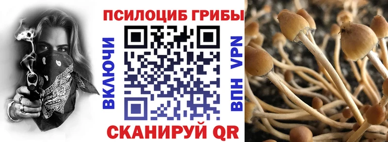 блэк спрут маркетплейс  закладка  Спасск-Дальний  Галлюциногенные грибы мухоморы 